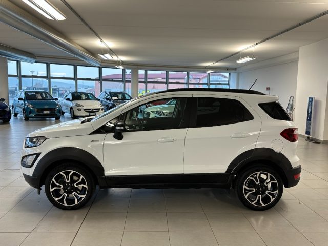 FORD EcoSport 1.000 BENZINA 125 CV ACTIVE Immagine 3