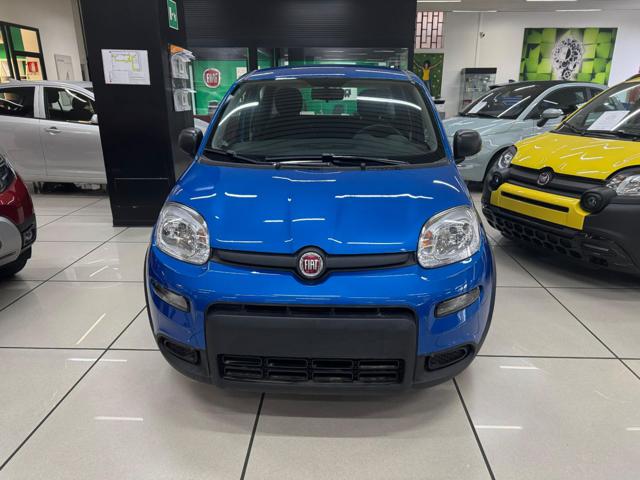 FIAT Panda 1.0 FireFly S&S Hybrid con promo "PANERO PLUS" Immagine 2