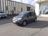 FIAT Panda PROMO FINANZIAMENTO 1.0 FireFly S&S Hybrid