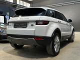 LAND ROVER Range Rover Evoque 2.0 eD4 5p. SE