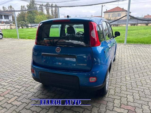 FIAT Panda PROMO FIN 1.0  Hybrid+SED REG H+SENSORI+RADIO  KM0 Immagine 3