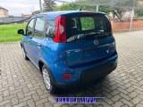 FIAT Panda PROMO FIN 1.0  Hybrid+SED REG H+SENSORI+RADIO  KM0