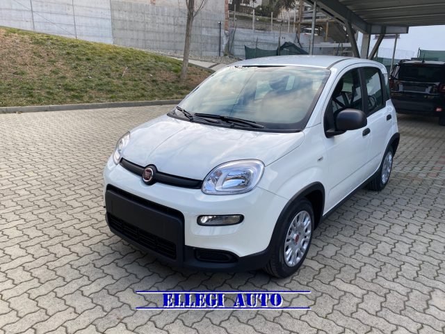 FIAT Panda 1.0 FireFly S&S Hybrid  KM  0 Immagine 0