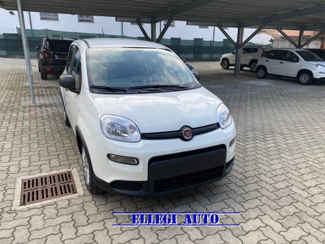 FIAT Panda 1.0 FireFly S&S Hybrid  KM  0 Immagine 1