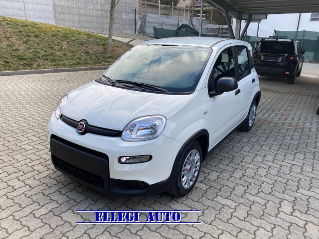 FIAT Panda 1.0 FireFly S&S Hybrid  KM  0 Immagine 2