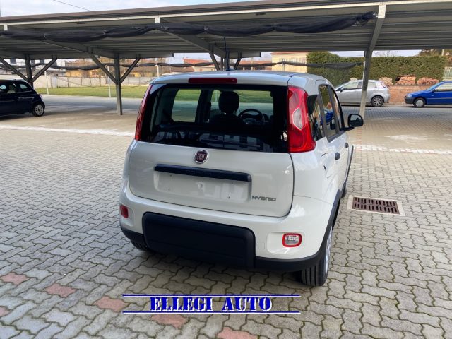 FIAT Panda 1.0 FireFly S&S Hybrid  KM  0 Immagine 4