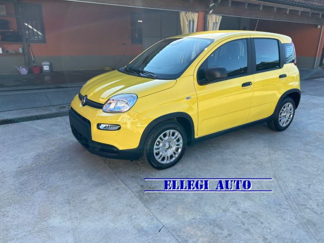 FIAT Panda PANDINA 1.0  Hybrid  KM  0 Immagine 2