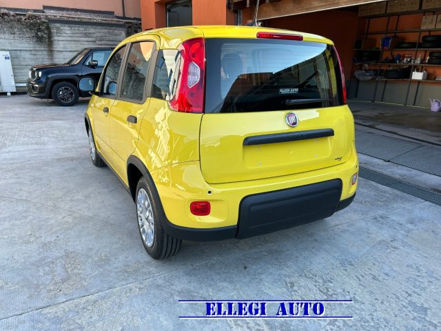 FIAT Panda PANDINA 1.0  Hybrid  KM  0 Immagine 4