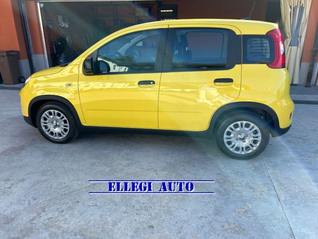 FIAT Panda PANDINA 1.0  Hybrid  KM  0 Immagine 3