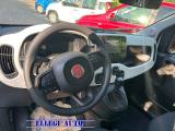 FIAT Panda Cross PANDINA CROSS LOOK 1.0 FireFly  Hybrid KM0