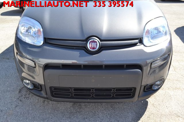 FIAT Panda 1.0 FireFly Hybrid KM 0 PACK STYLE+CONFORT Immagine 2