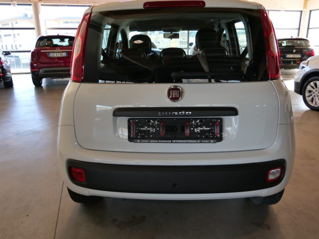 FIAT Panda 1.2 Easy Immagine 3