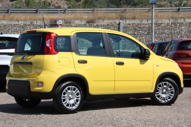 FIAT Panda 1.0 FireFly S&S Hybrid CON ROTTAMAZIONE Immagine 2