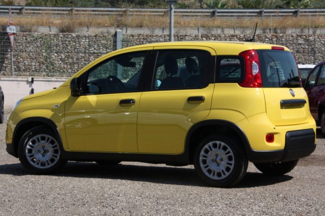 FIAT Panda 1.0 FireFly S&S Hybrid CON ROTTAMAZIONE Immagine 3