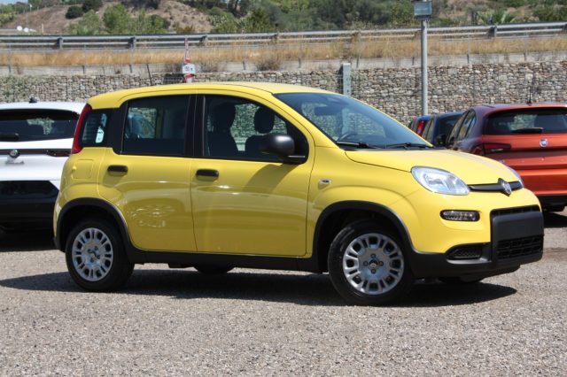 FIAT Panda 1.0 FireFly S&S Hybrid CON ROTTAMAZIONE Immagine 1