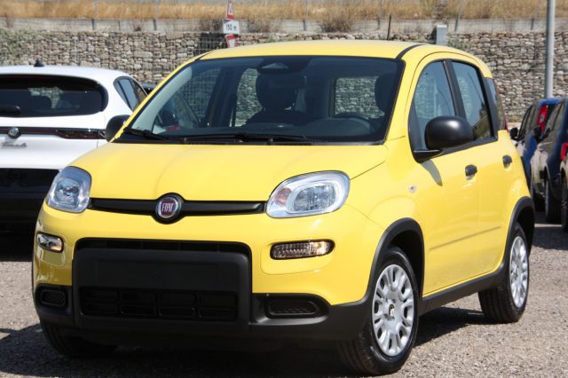 FIAT Panda 1.0 FireFly S&S Hybrid CON ROTTAMAZIONE Immagine 4