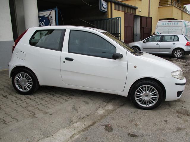 FIAT Punto 1.2 3 porte 60cv Dynamic Immagine 3