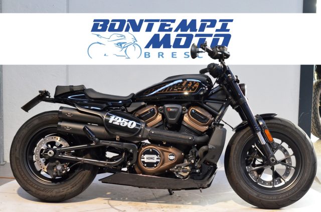 HARLEY-DAVIDSON Sportster S 2022 - 16.000 KM + SCARICHI MCJ Immagine 0