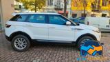 LAND ROVER Range Rover Evoque 2.2 Sd4 5p. Dynamic