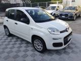 FIAT Panda 1.2 Easy..PREZZO REALE