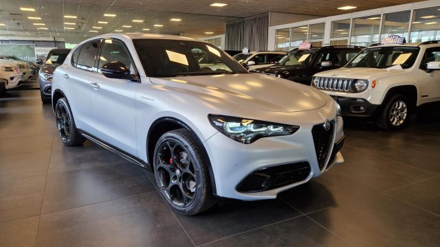 ALFA ROMEO Stelvio 2.2 Turbodiesel 210 CV AT8 Q4 Competizione Immagine 2