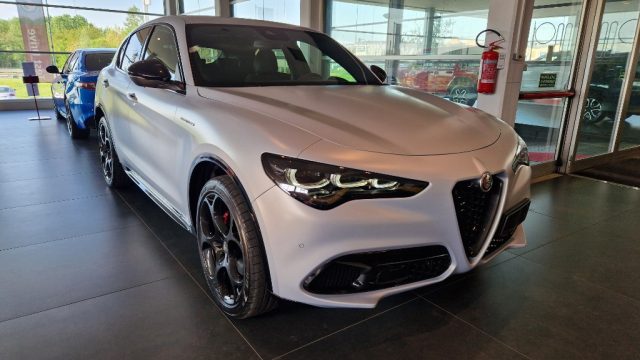 ALFA ROMEO Stelvio 2.2 Turbodiesel 210 CV AT8 Q4 Competizione Immagine 4