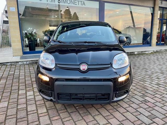 FIAT Panda 1.0 FireFly S&S Hybrid - KM0 Immagine 1