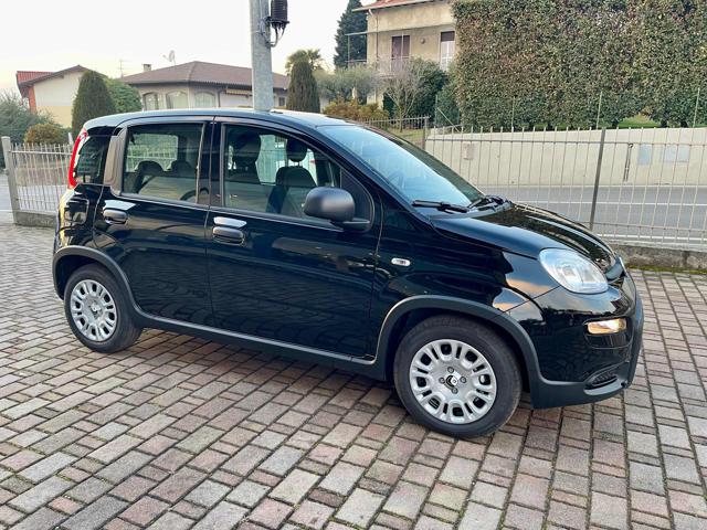 FIAT Panda 1.0 FireFly S&S Hybrid - KM0 Immagine 2