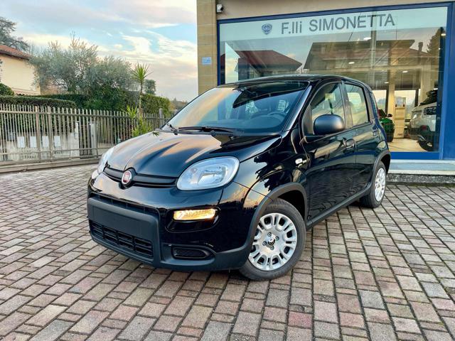 FIAT Panda 1.0 FireFly S&S Hybrid - KM0 Immagine 0