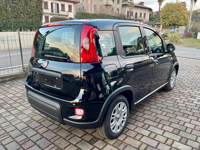 FIAT Panda 1.0 FireFly S&S Hybrid - KM0 Immagine 3