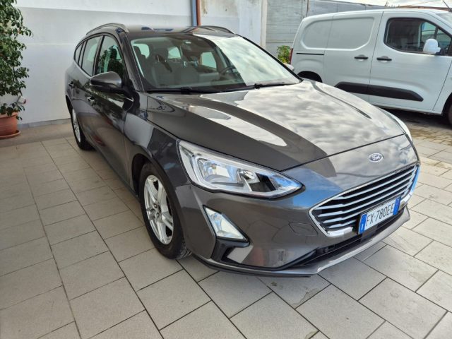 FORD Focus 1.5 EcoBlue 120 CV SW Business Immagine 1