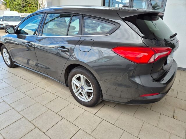 FORD Focus 1.5 EcoBlue 120 CV SW Business Immagine 2