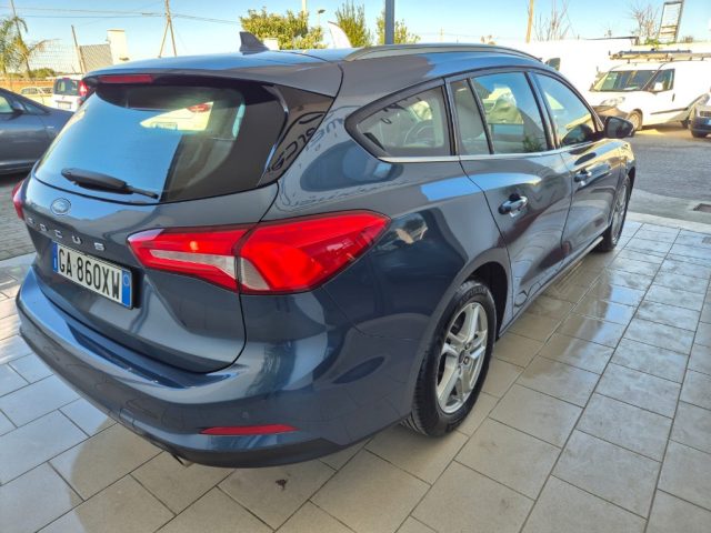 FORD Focus 1.5 EcoBlue 120 CV SW Business Immagine 2