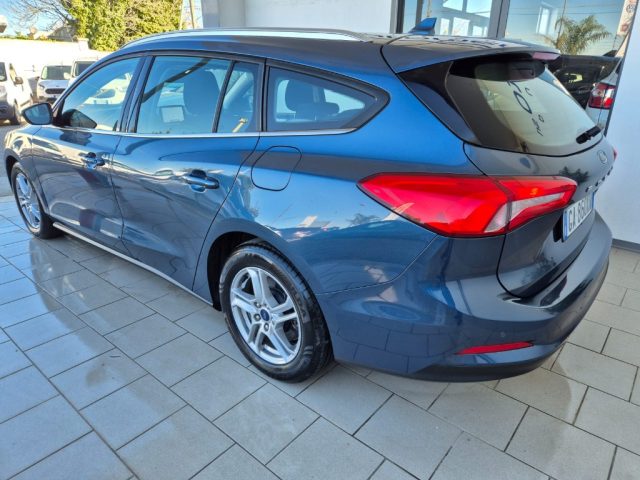 FORD Focus 1.5 EcoBlue 120 CV SW Business Immagine 3