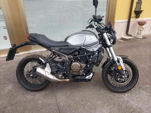 VOGE Trofeo 300 300 SCRAMBLER Immagine 2