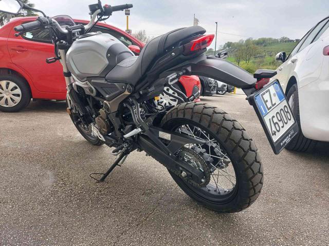 VOGE Trofeo 300 300 SCRAMBLER Immagine 4