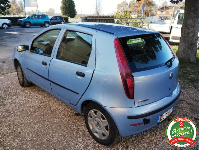 FIAT Punto 1.2 5 porte Active Immagine 2