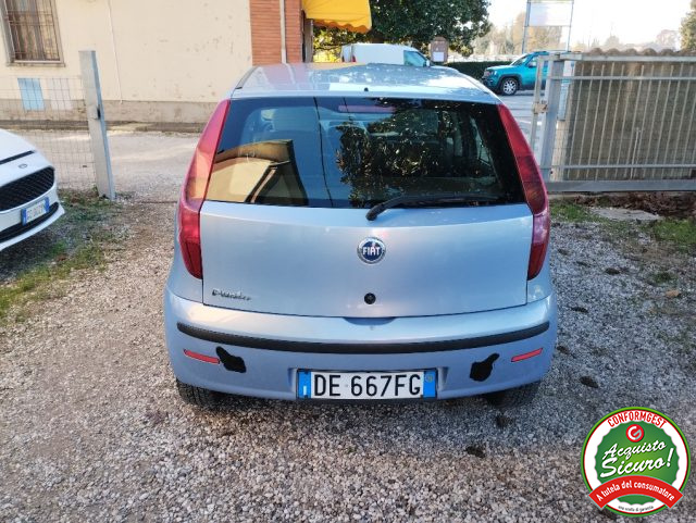 FIAT Punto 1.2 5 porte Active Immagine 3