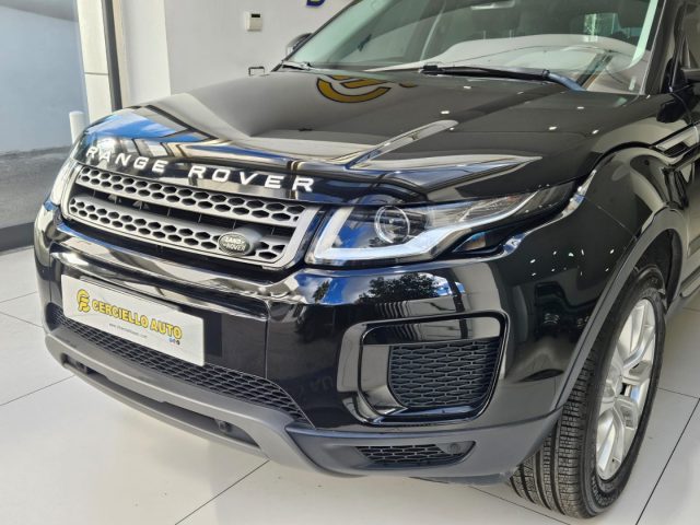 LAND ROVER Range Rover Evoque 2.0 eD4 5p. Business Edition Premium SE Immagine 2