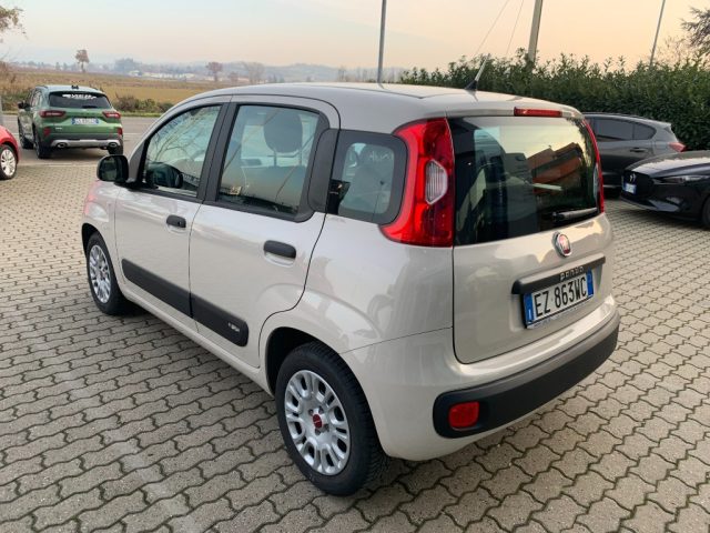 FIAT Panda 1.2 benzina 69cv. Easy,Km 37.000 OK NEOPATENTATI Immagine 4