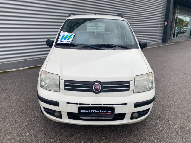 FIAT Panda 1.2 Dynamic Natural Power METANO OK NEOPATENTATO Immagine 1