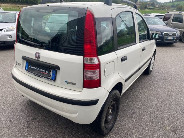 FIAT Panda 1.2 Dynamic Natural Power METANO OK NEOPATENTATO Immagine 4