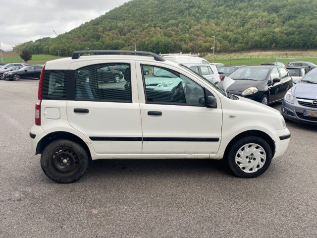 FIAT Panda 1.2 Dynamic Natural Power METANO OK NEOPATENTATO Immagine 3