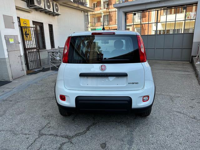 FIAT Panda 1.0 Hybrid 70cv 36 Rate da 177,95 Immagine 4