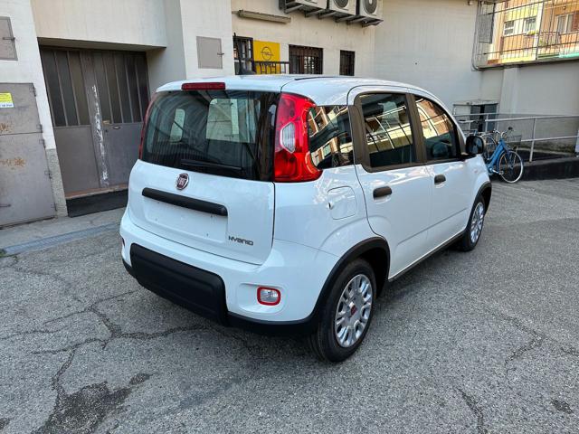 FIAT Panda 1.0 Hybrid 70cv 36 Rate da 177,95 Immagine 3