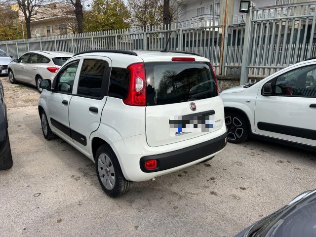 FIAT Panda 1.0 FireFly S&S Hybrid Immagine 2