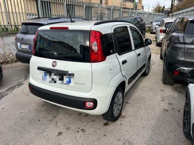 FIAT Panda 1.0 FireFly S&S Hybrid Immagine 3