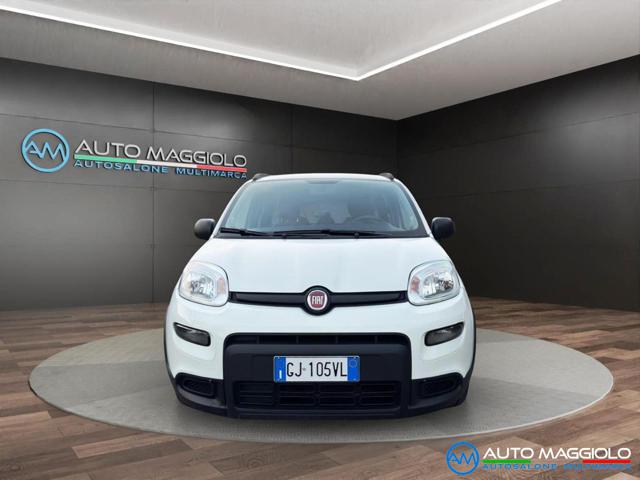 FIAT Panda 1.0 FireFly S&S Hybrid City Life NEO PATENTATI Immagine 1