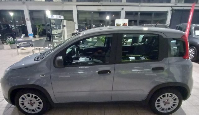 FIAT Panda 1.0 FireFly S&S Hybrid Immagine 1