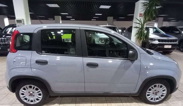 FIAT Panda 1.0 FireFly S&S Hybrid Immagine 3